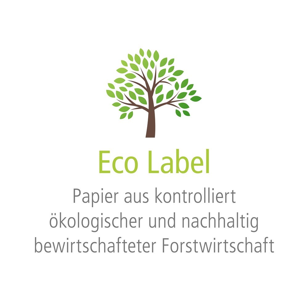 Apfelspritzer Eco Label (Pfandfrei, Export)